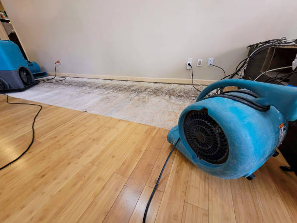 Professional Water Damage Repair technician working in White Hall, MD
